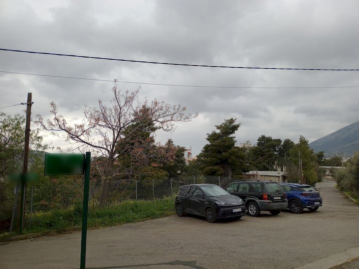 Gallery image 8