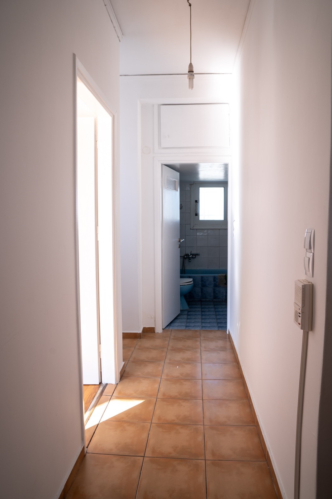 Gallery image 14