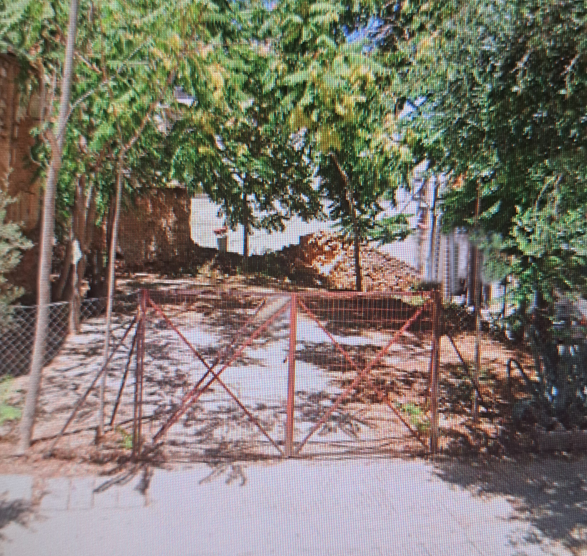 Gallery image 3