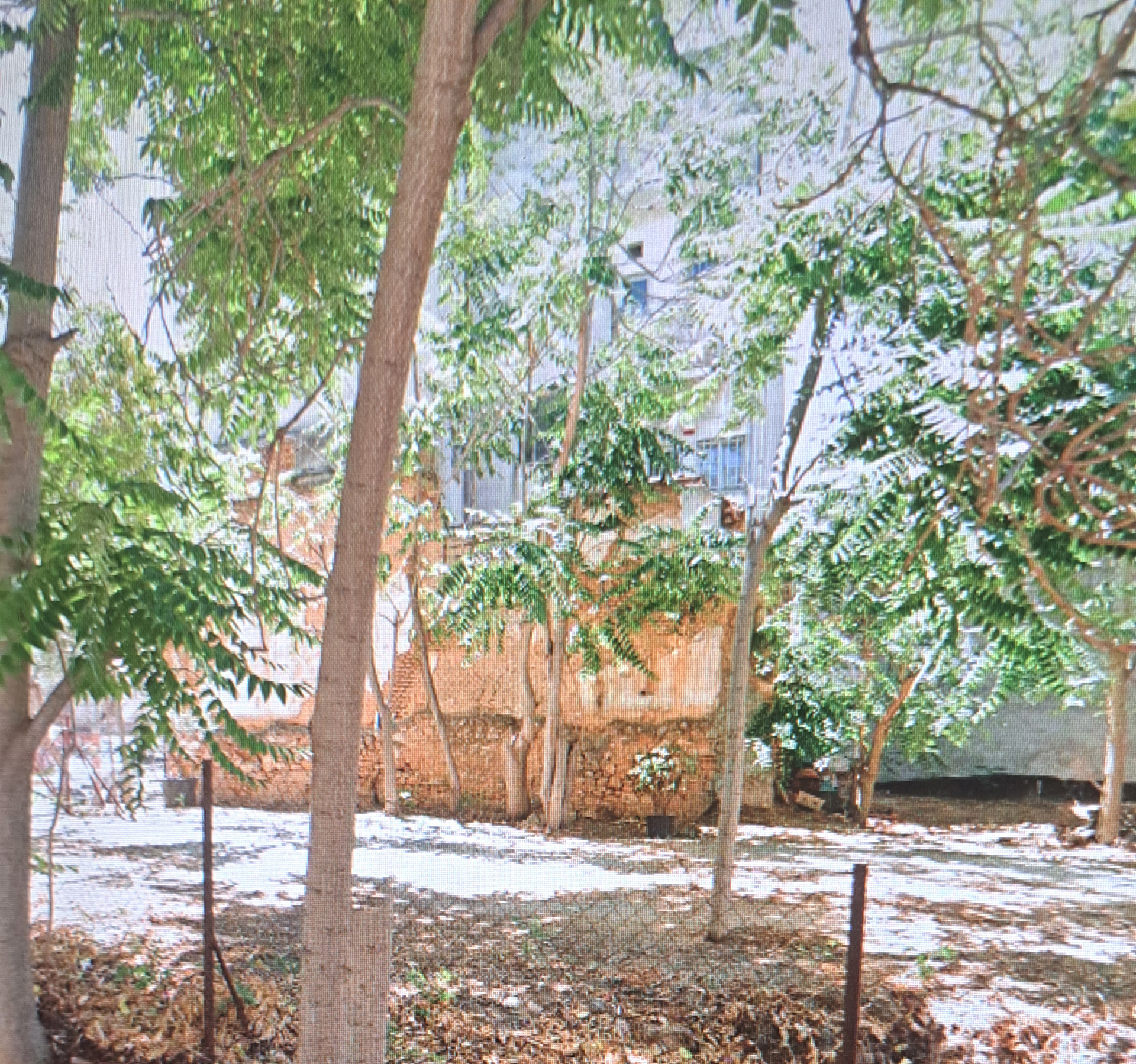 Gallery image 4