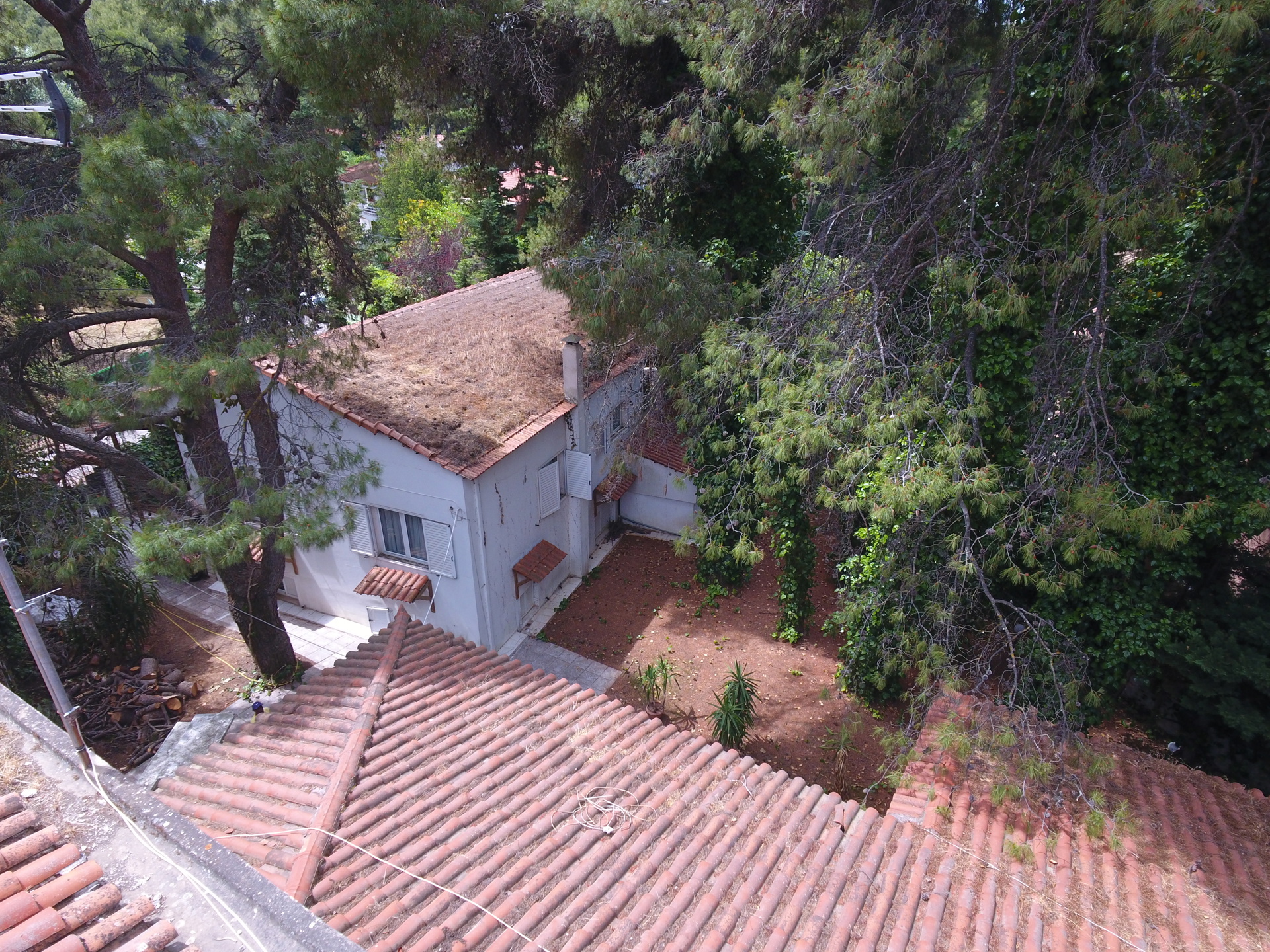 Gallery image 7