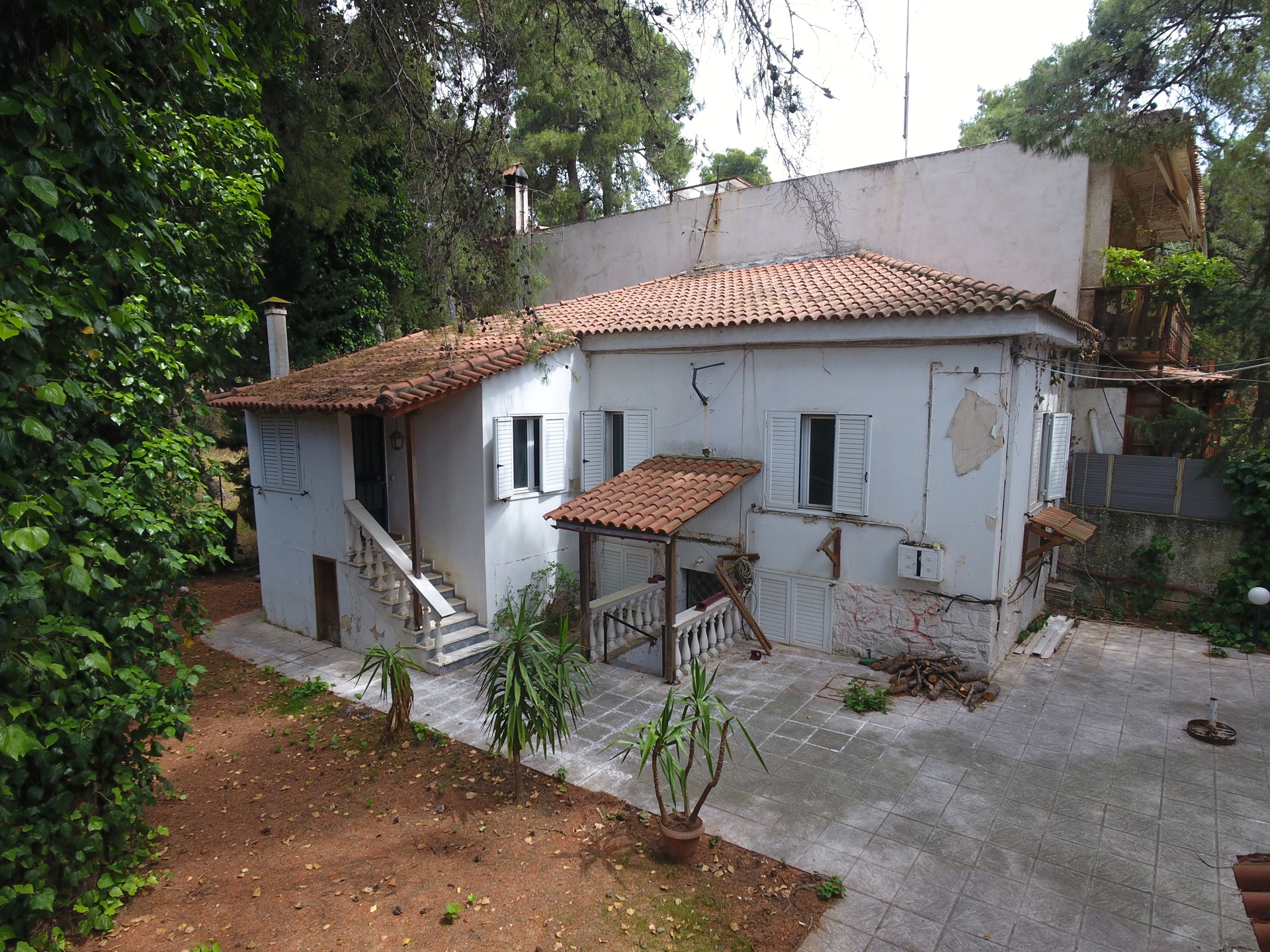 Gallery image 8