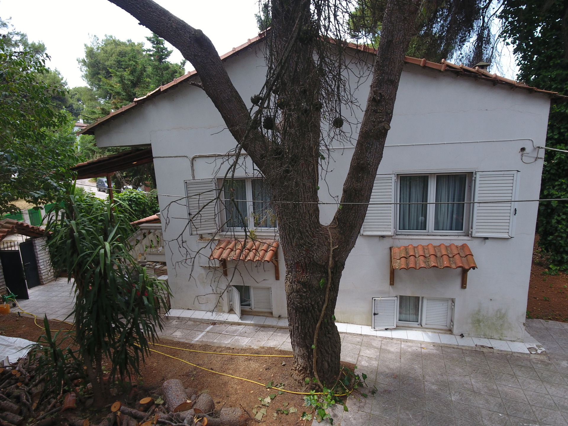 Gallery image 6