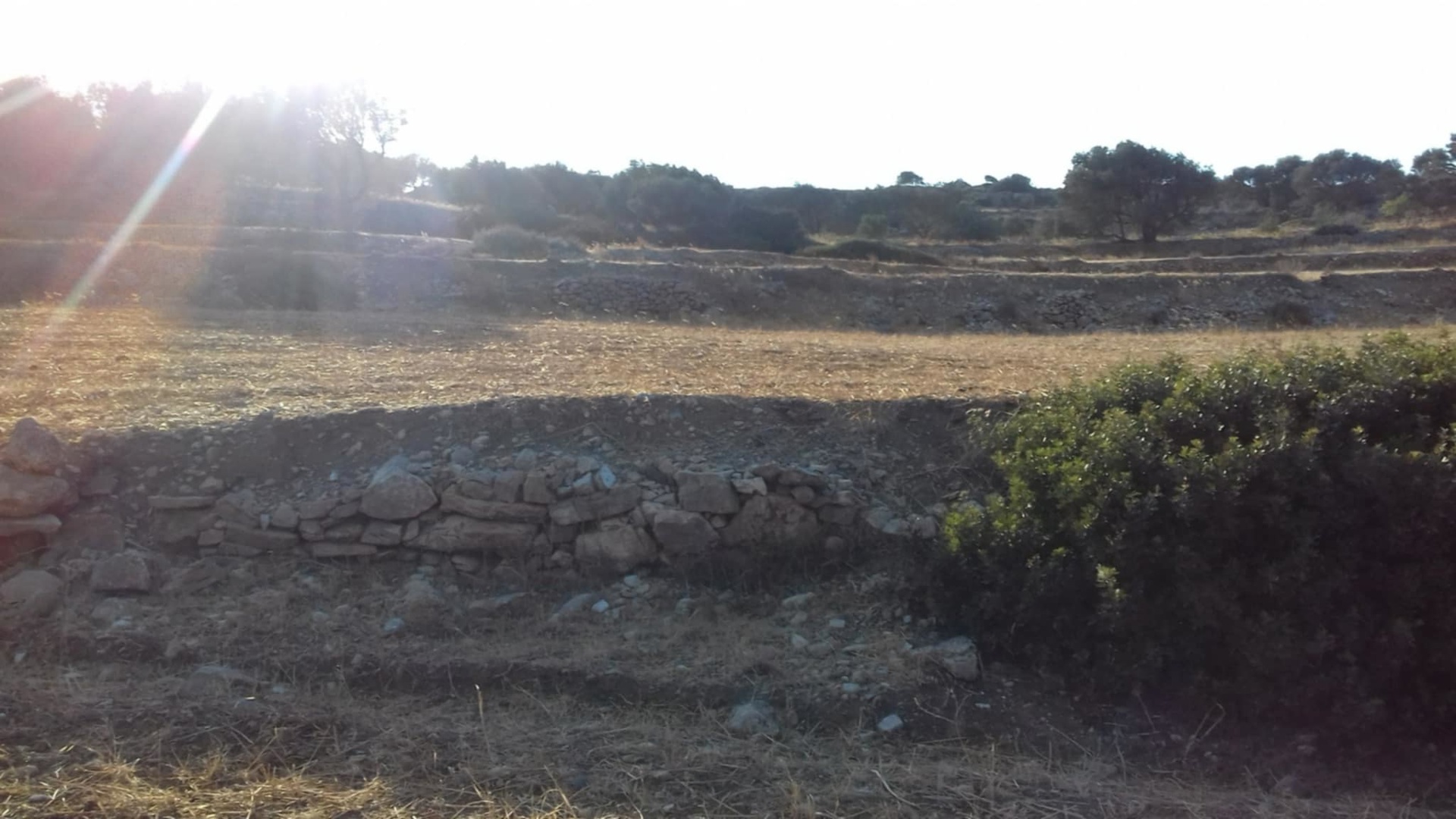 Gallery image 13