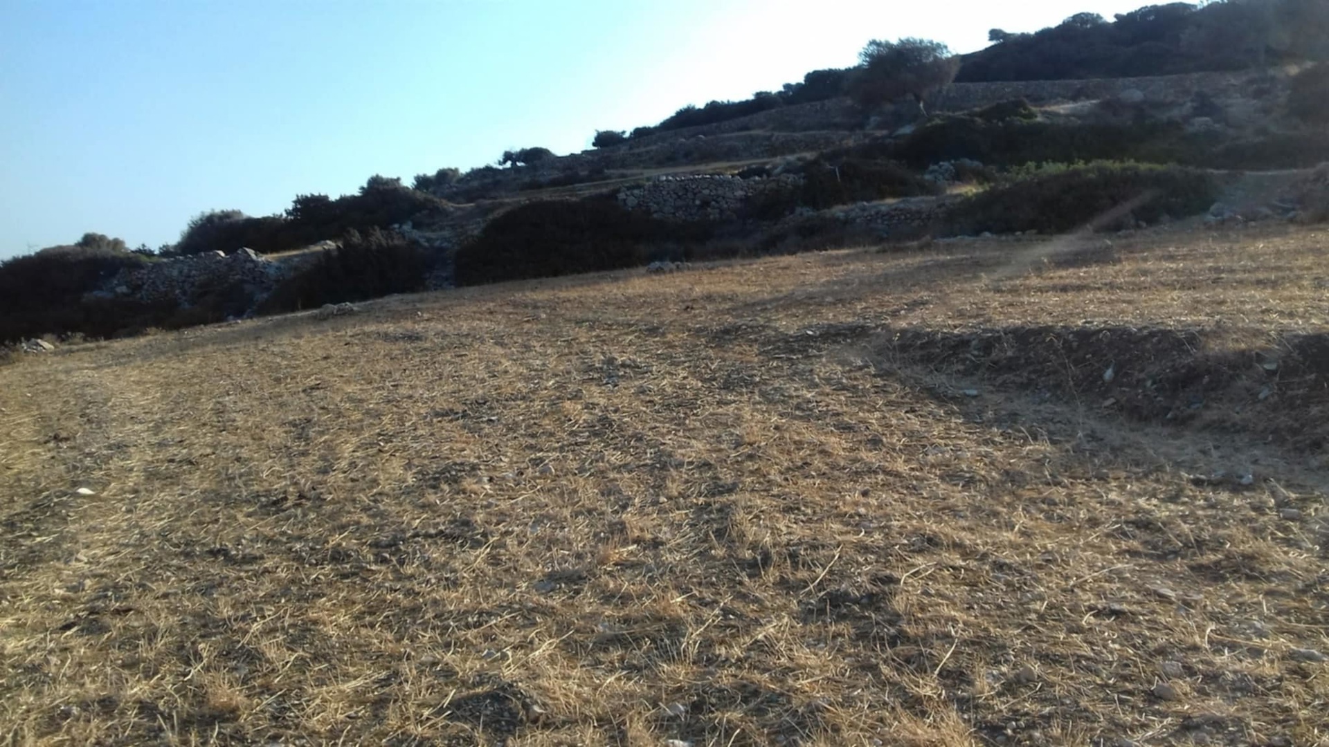 Gallery image 11
