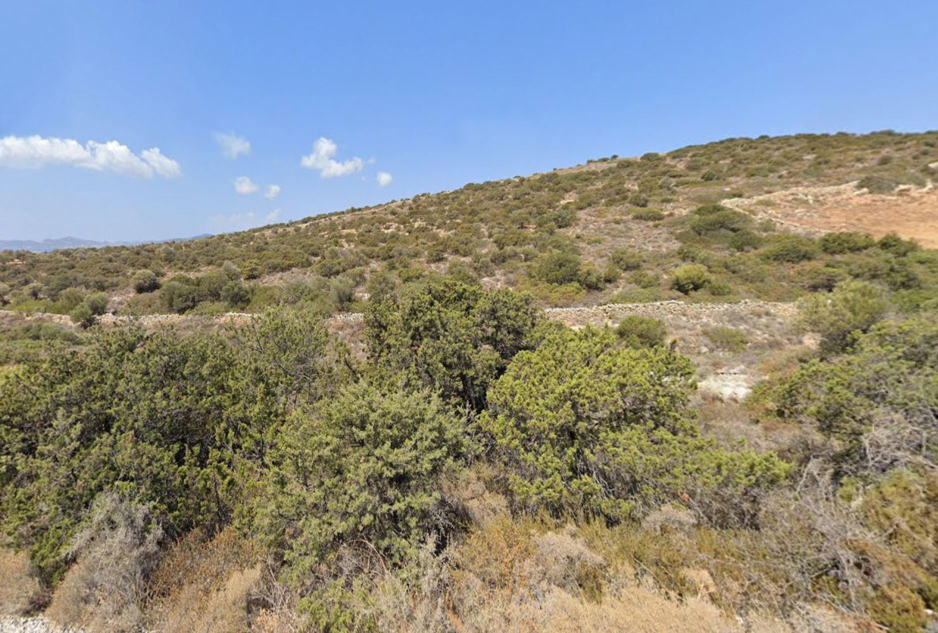 Gallery image 7