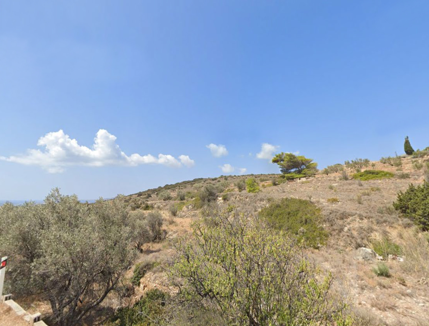 Gallery image 12
