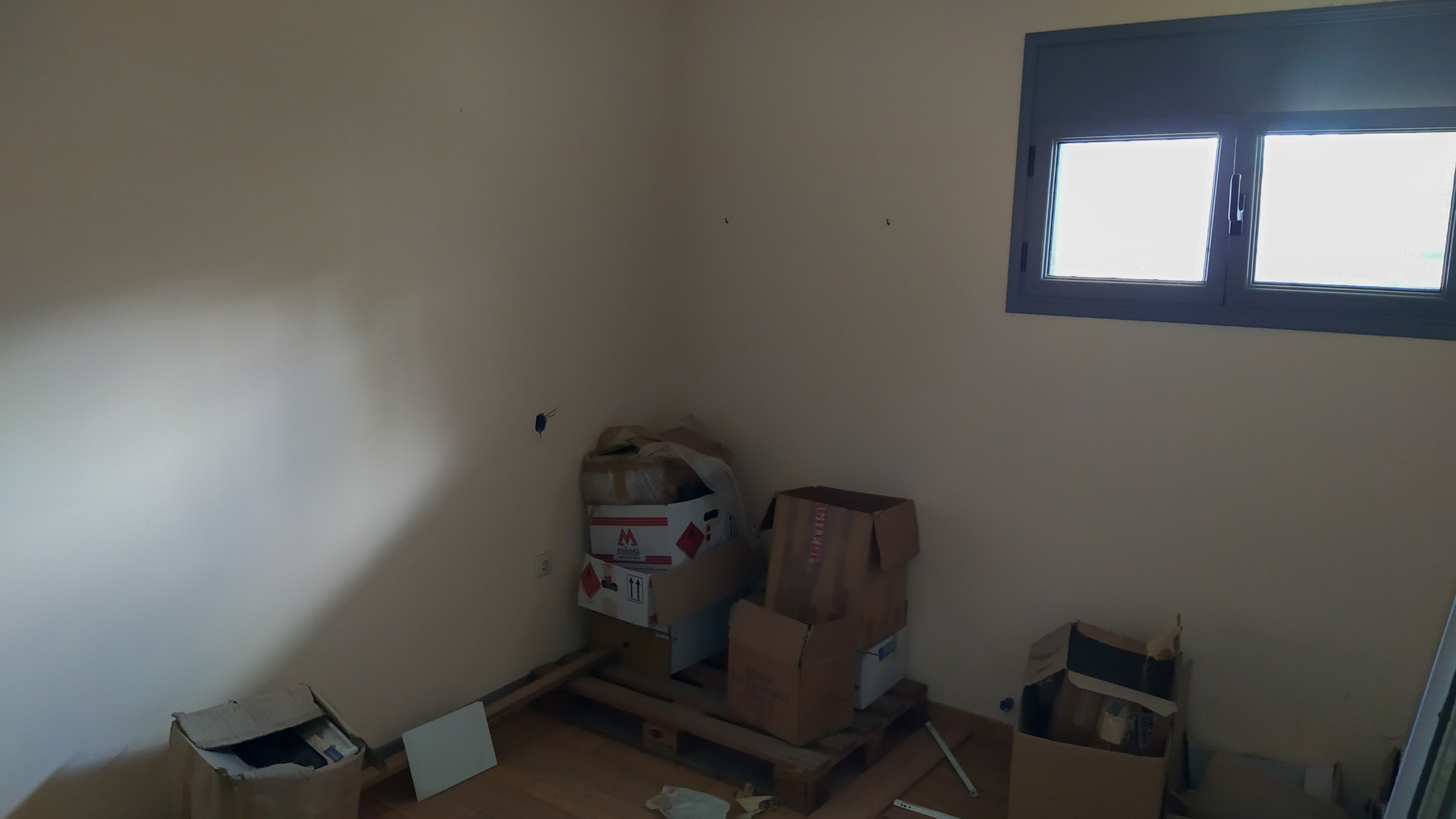Gallery image 6