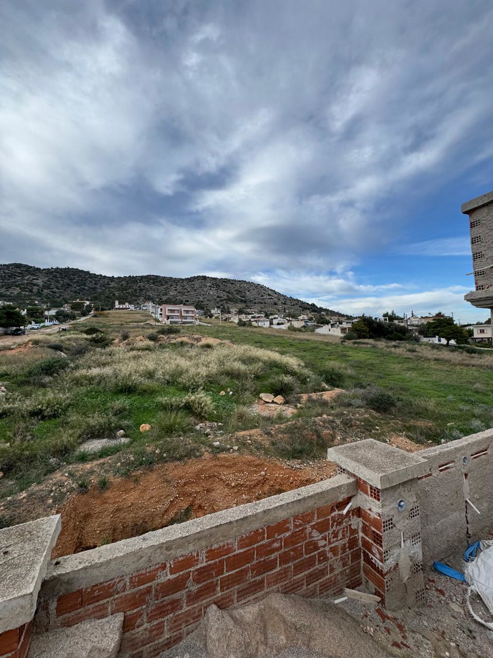 Gallery image 16