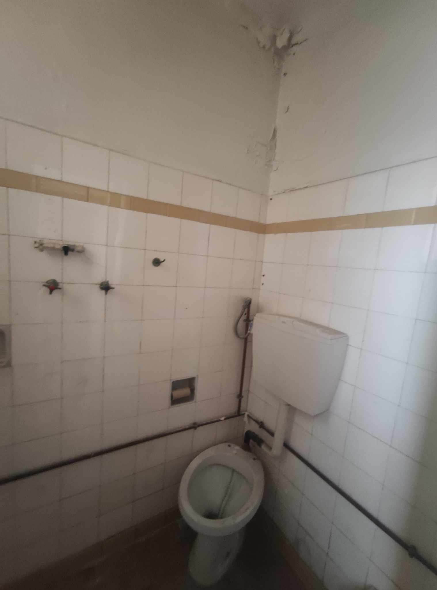Gallery image 25