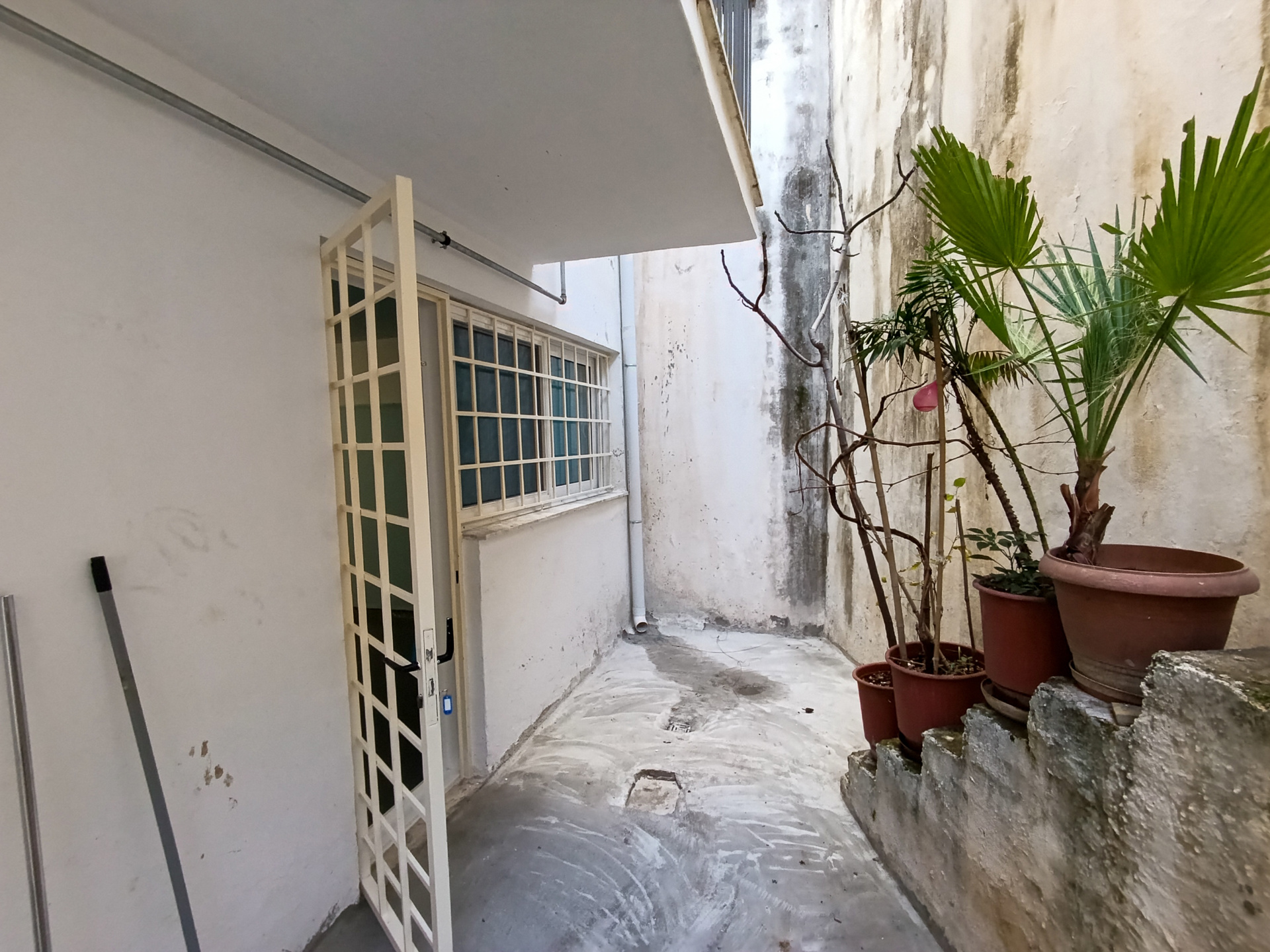 Gallery image 16