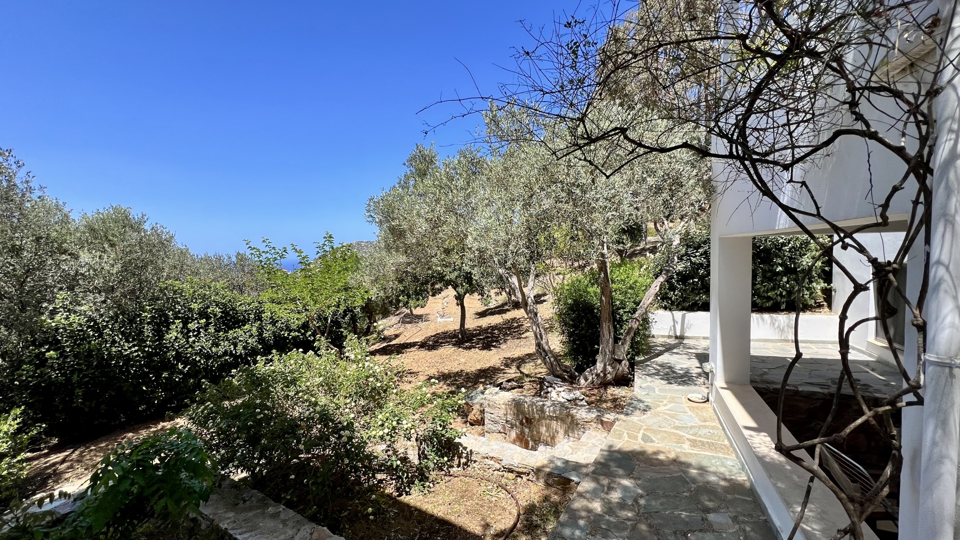 Gallery image 25
