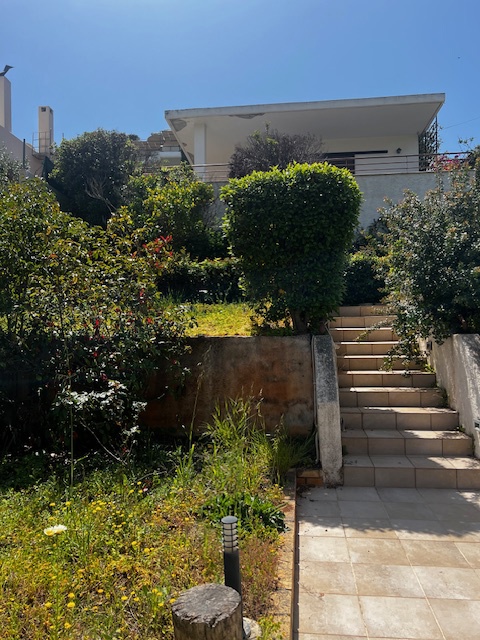 Gallery image 20
