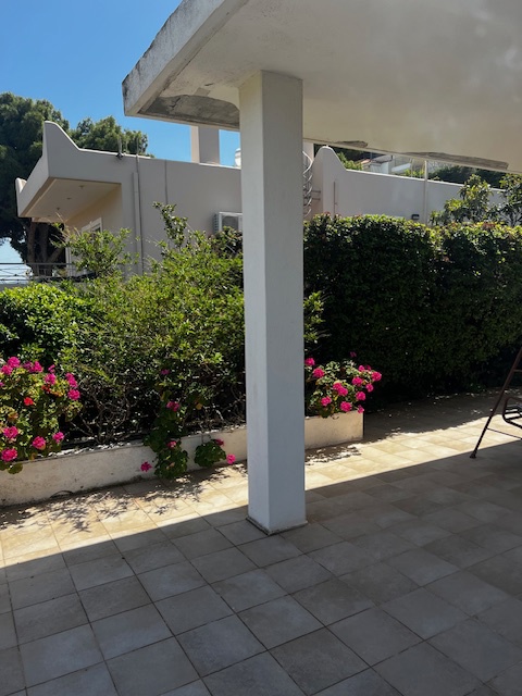 Gallery image 11