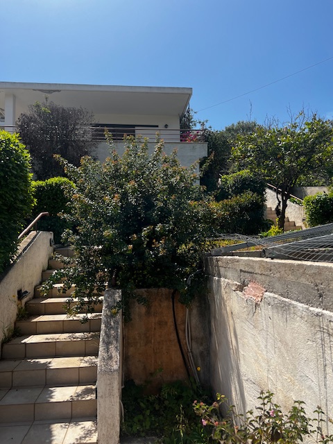 Gallery image 19