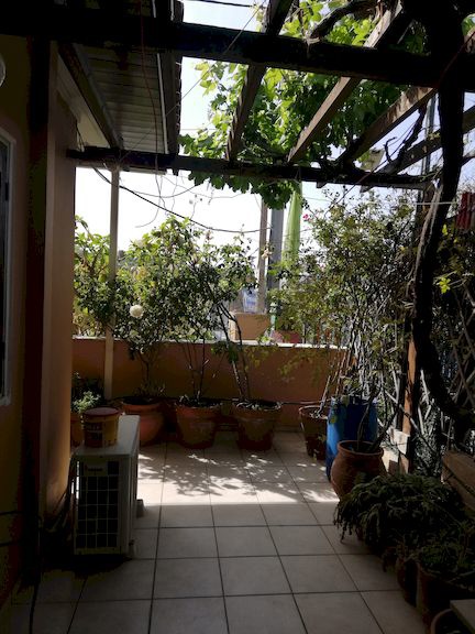 Gallery image 10