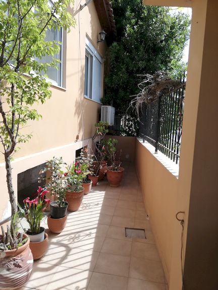 Gallery image 11