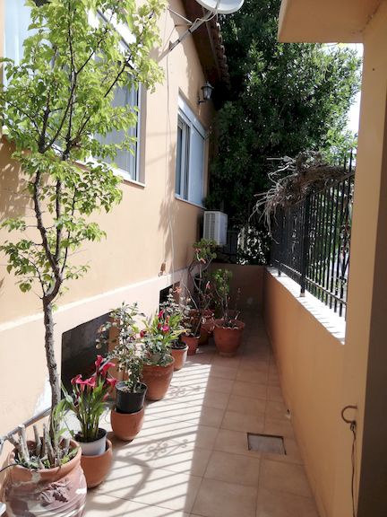 Gallery image 15