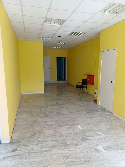 Gallery image 7