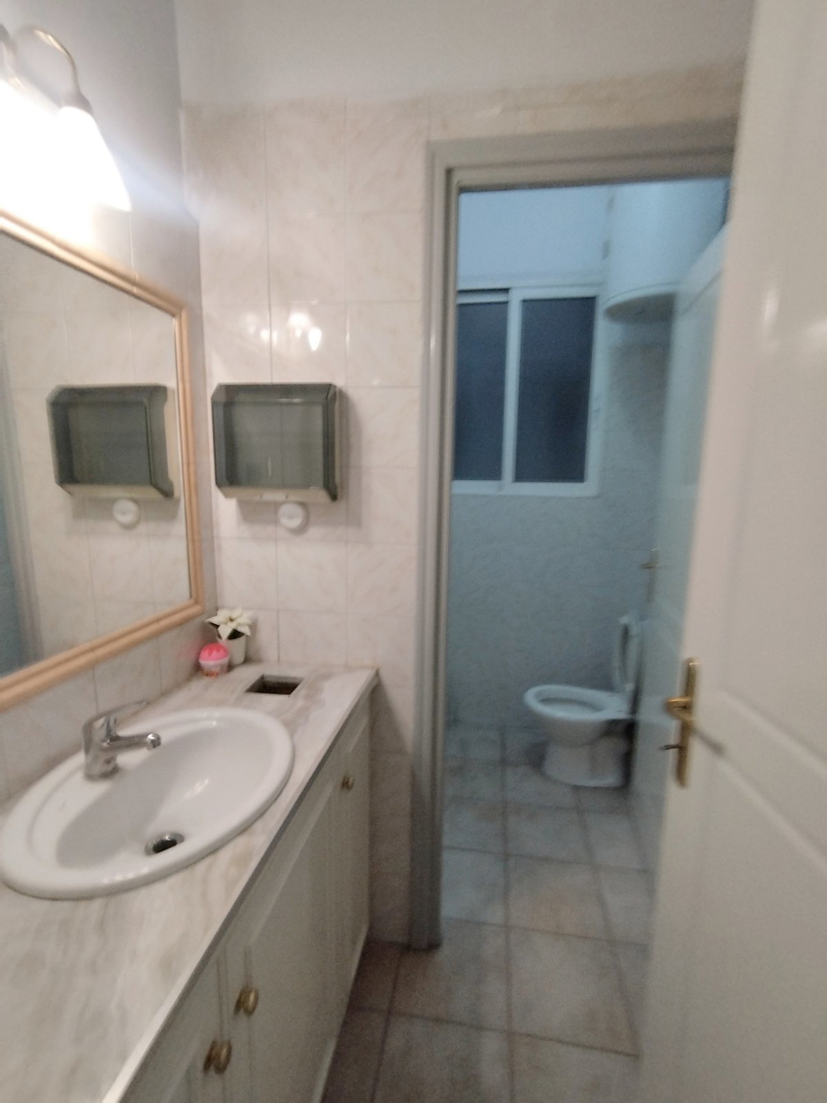 Gallery image 11