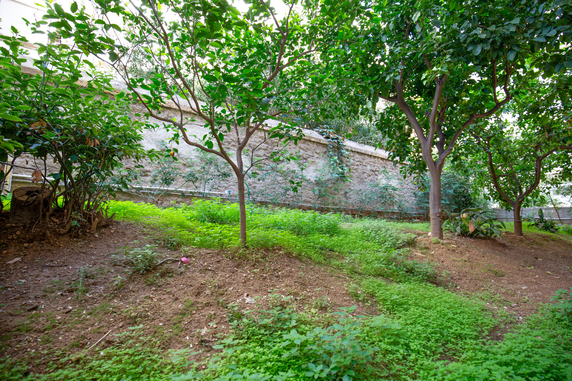 Gallery image 20