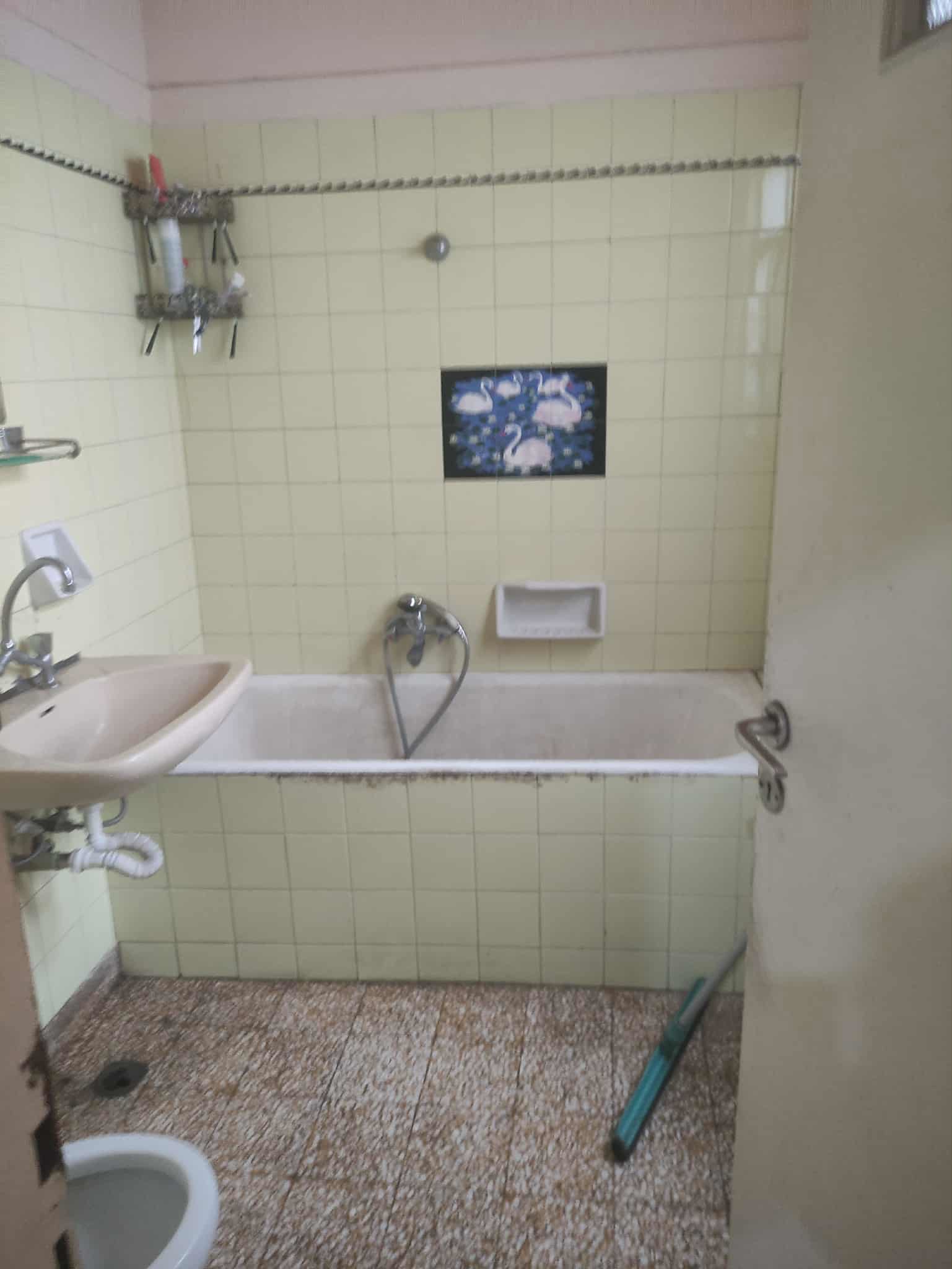 Gallery image 8