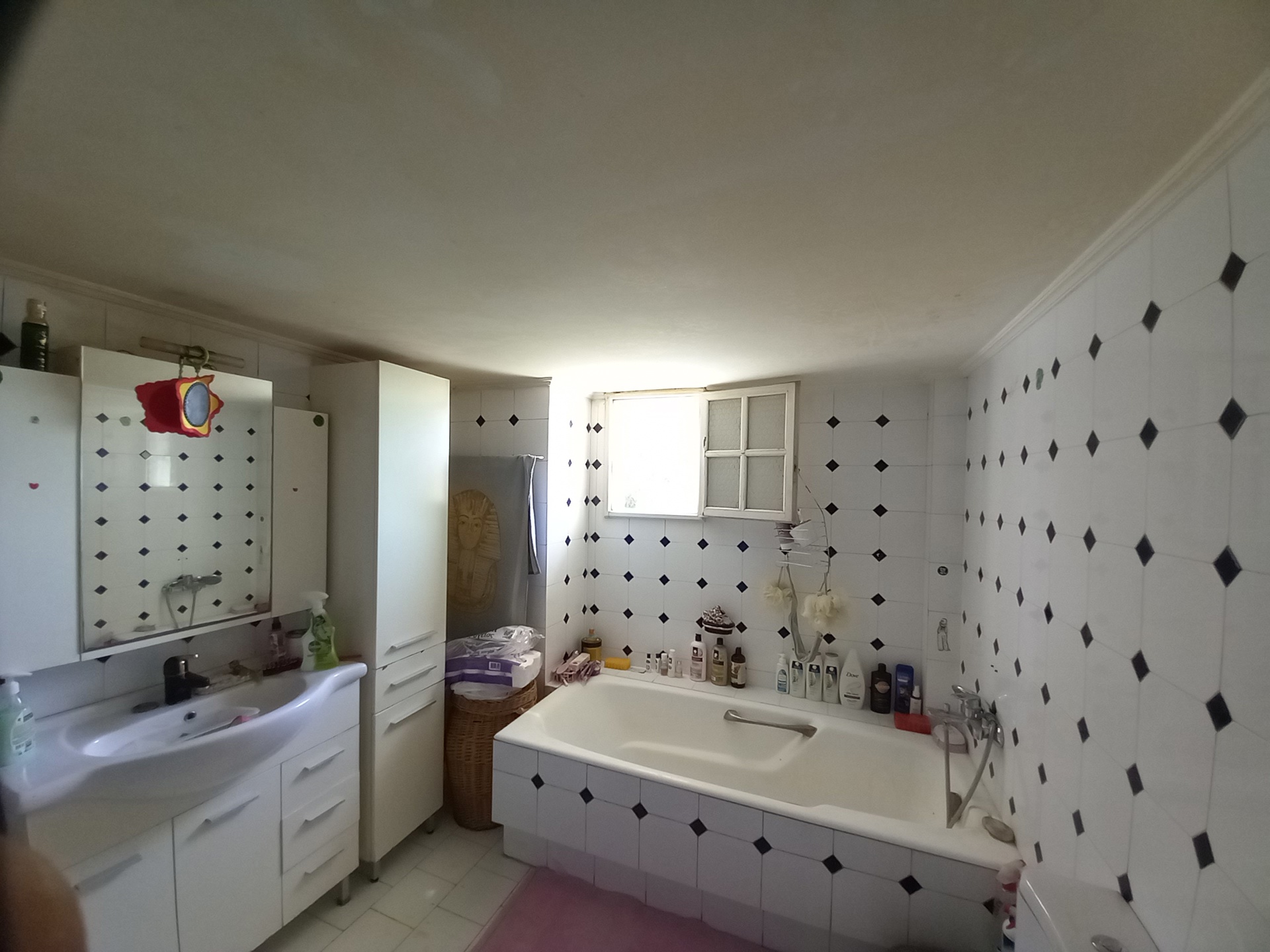 Gallery image 12