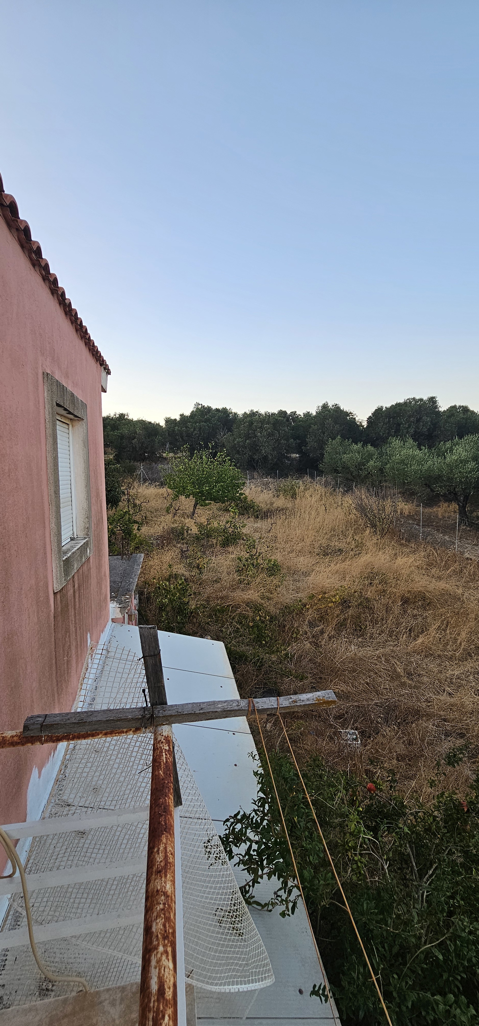 Gallery image 14
