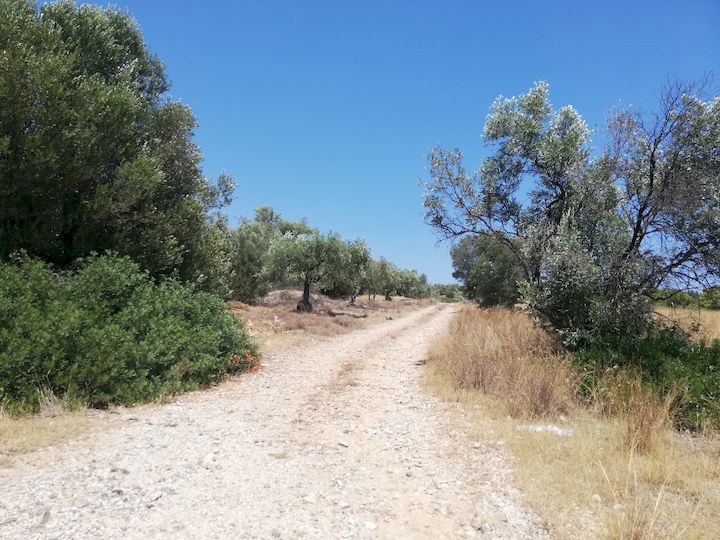 Gallery image 17