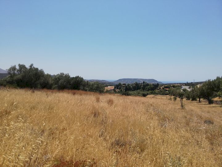 Gallery image 15