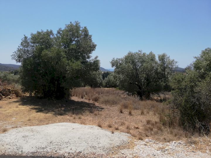 Gallery image 9