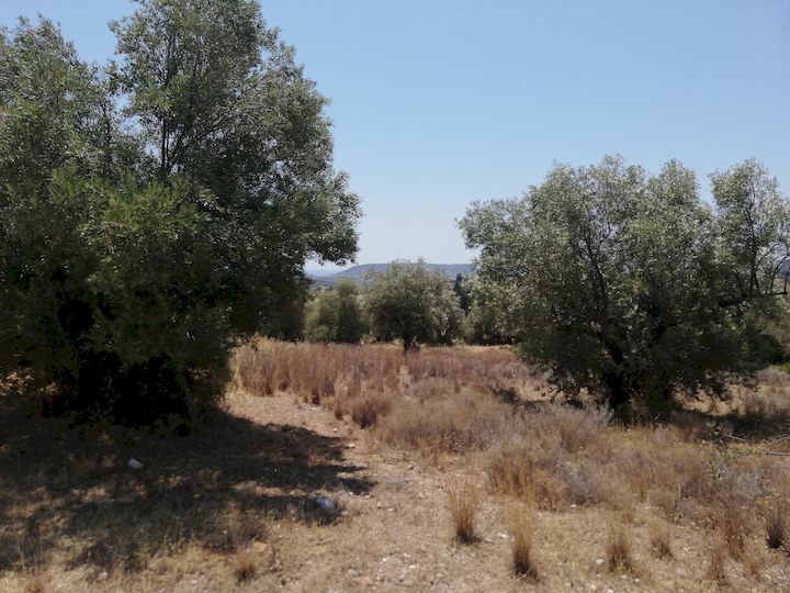 Gallery image 12