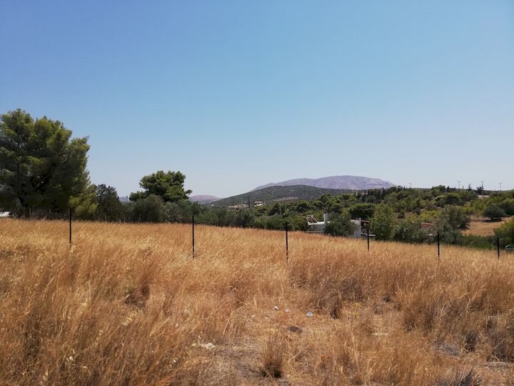 Gallery image 25