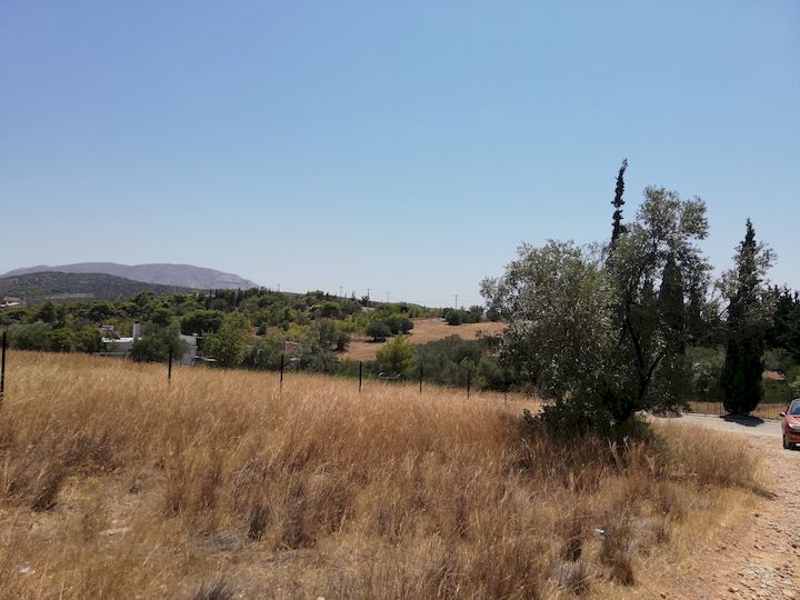 Gallery image 20