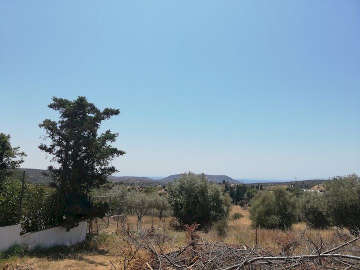 Gallery image 11