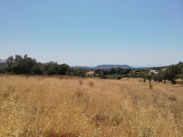 Gallery image 16