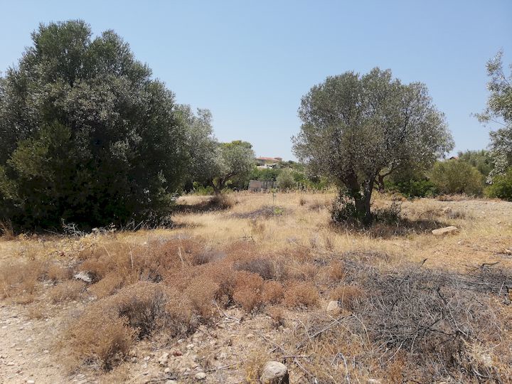 Gallery image 21