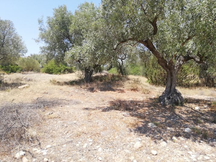 Gallery image 22