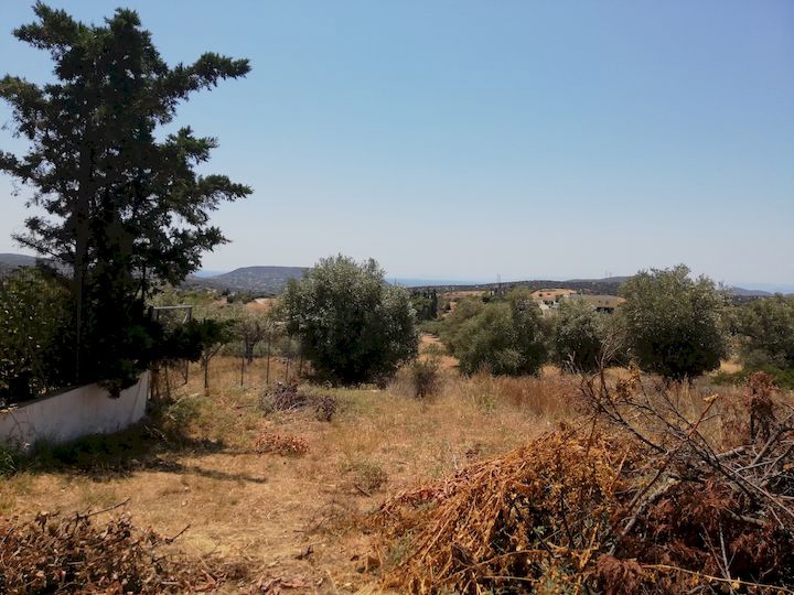 Gallery image 10