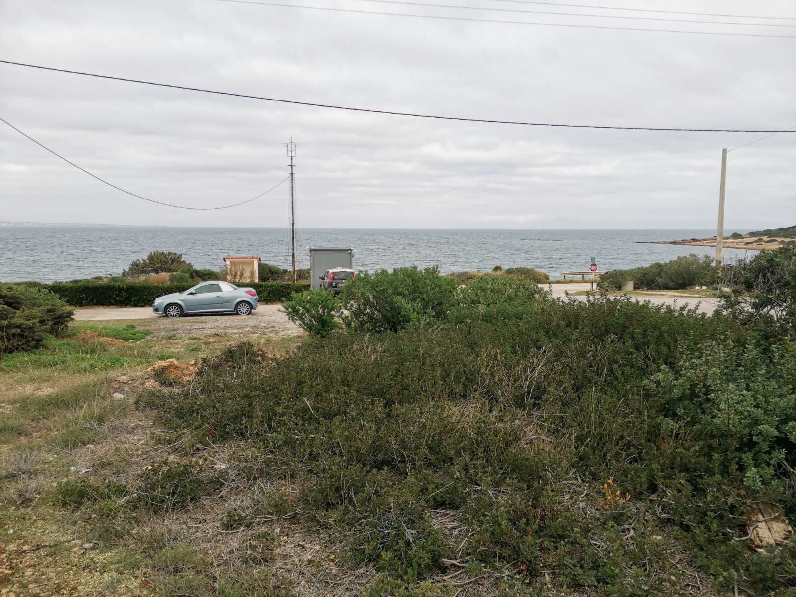 Gallery image 16