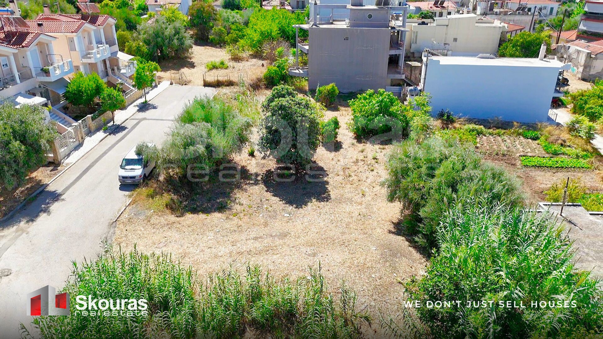Gallery image 12