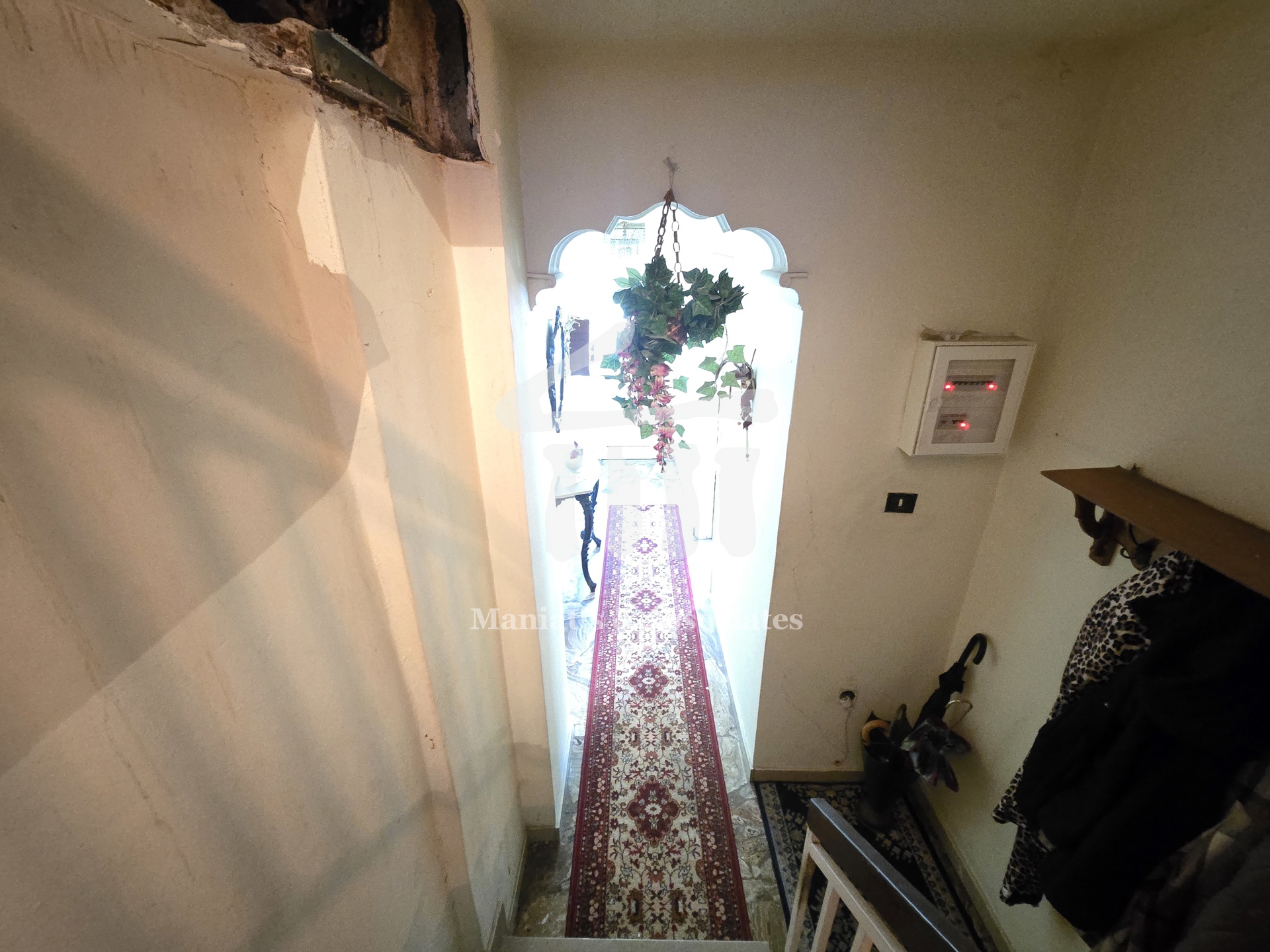 Gallery image 8
