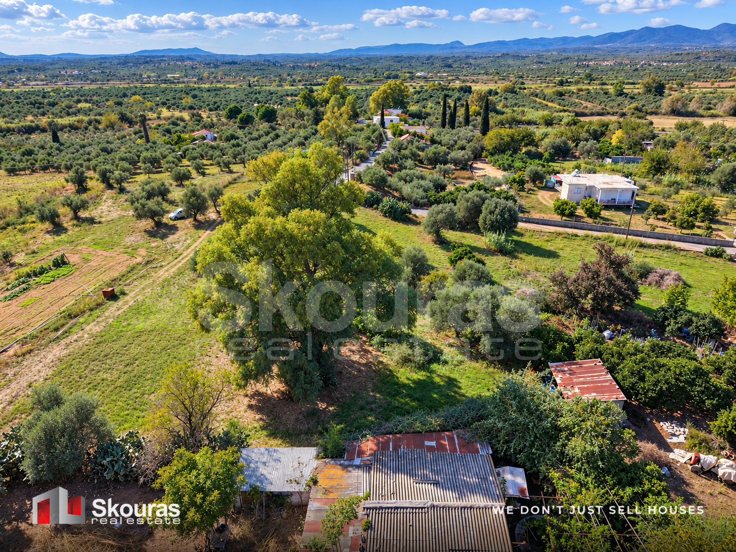 Gallery image 17