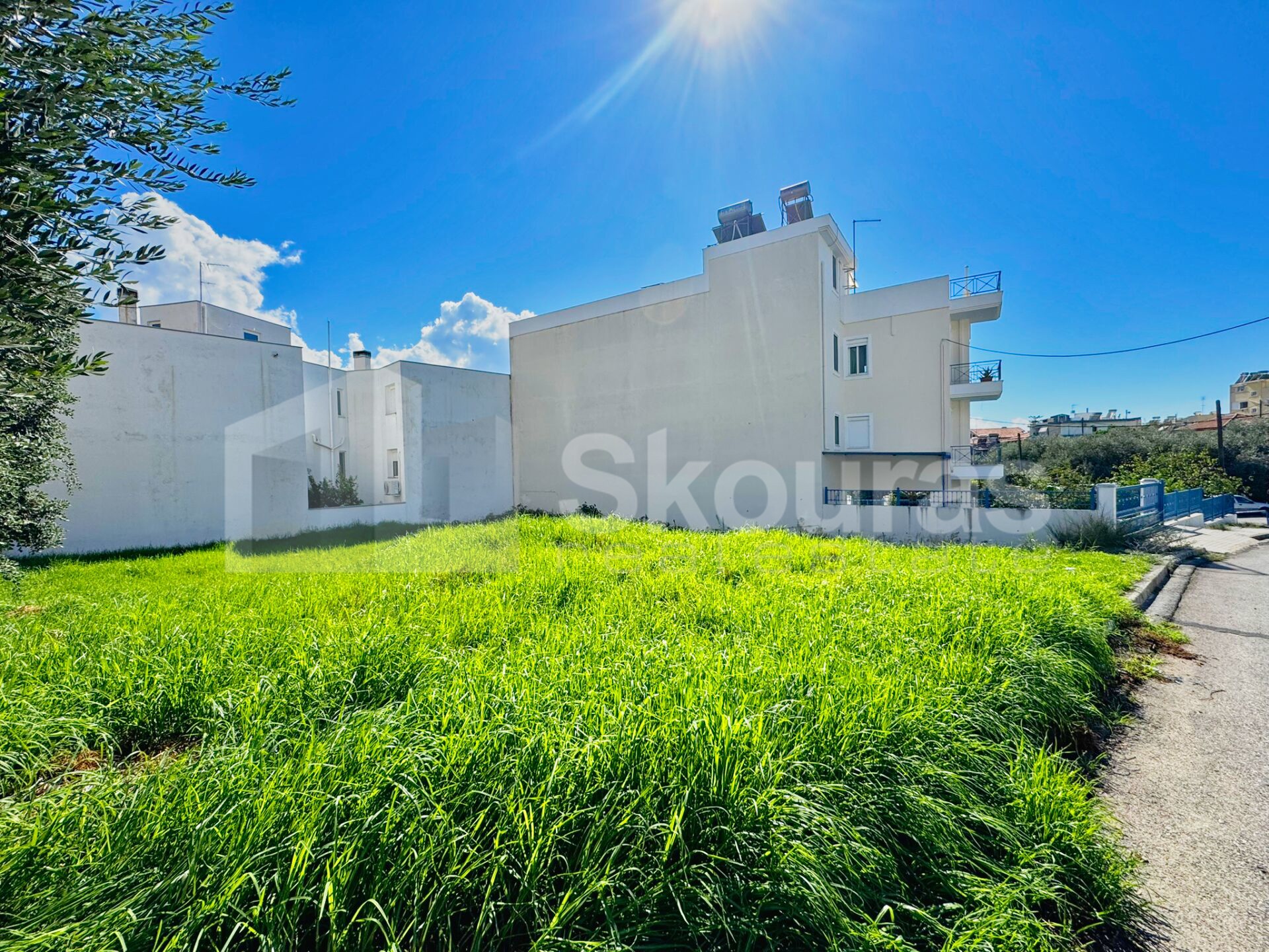 Gallery image 25
