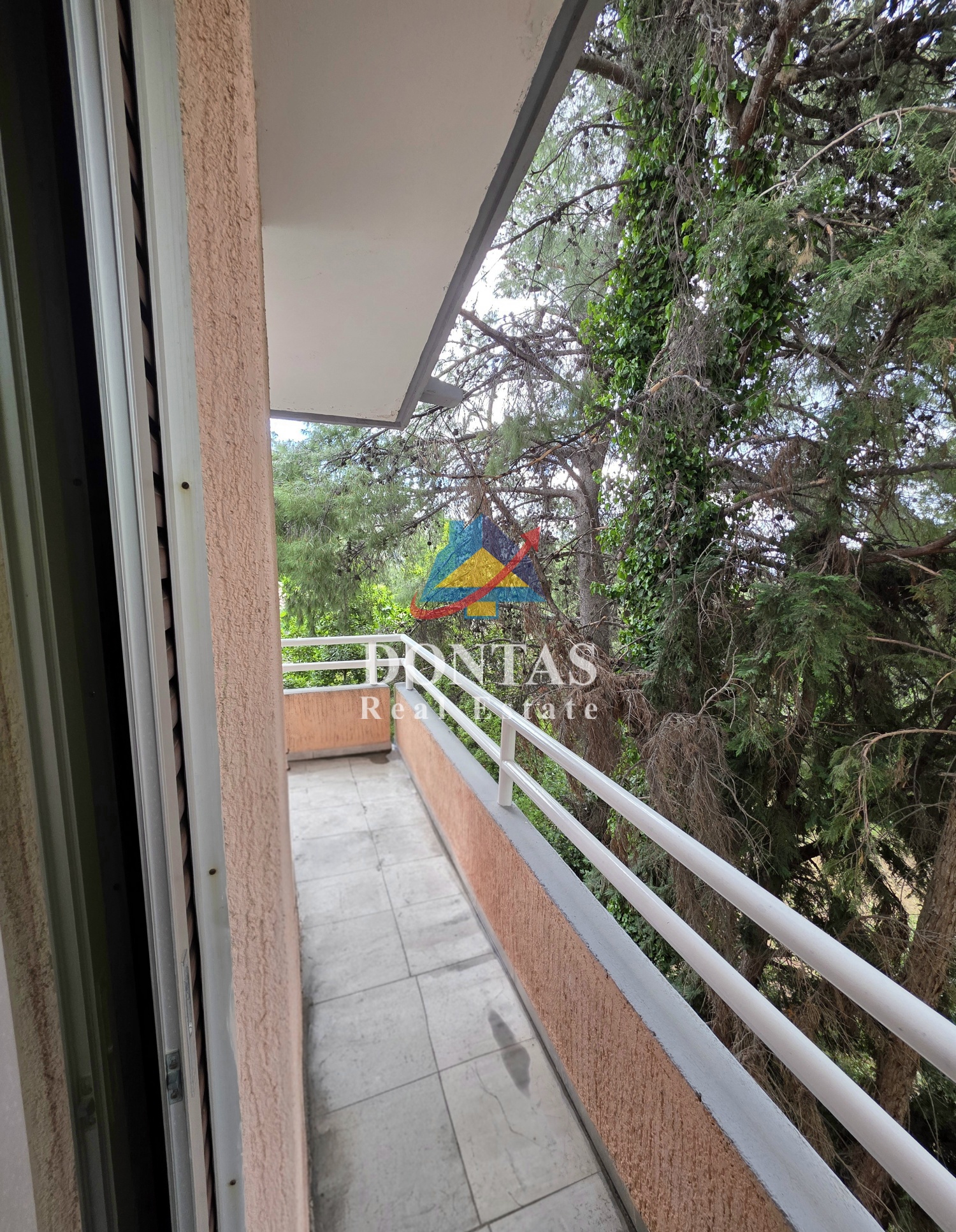 Gallery image 14
