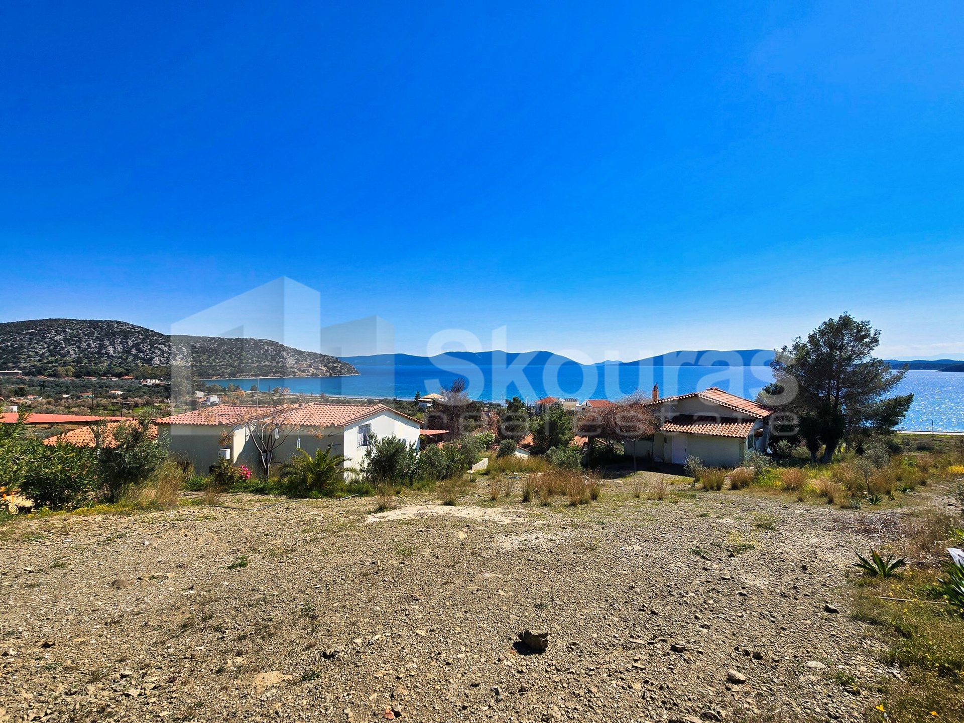 Gallery image 11
