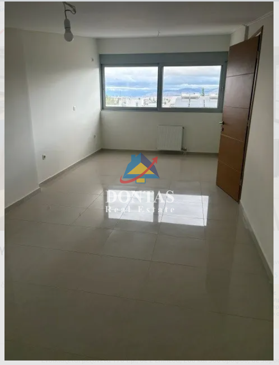 Gallery image 13