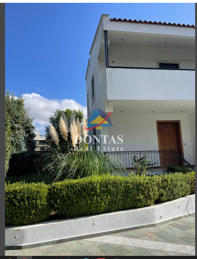 Gallery image 17