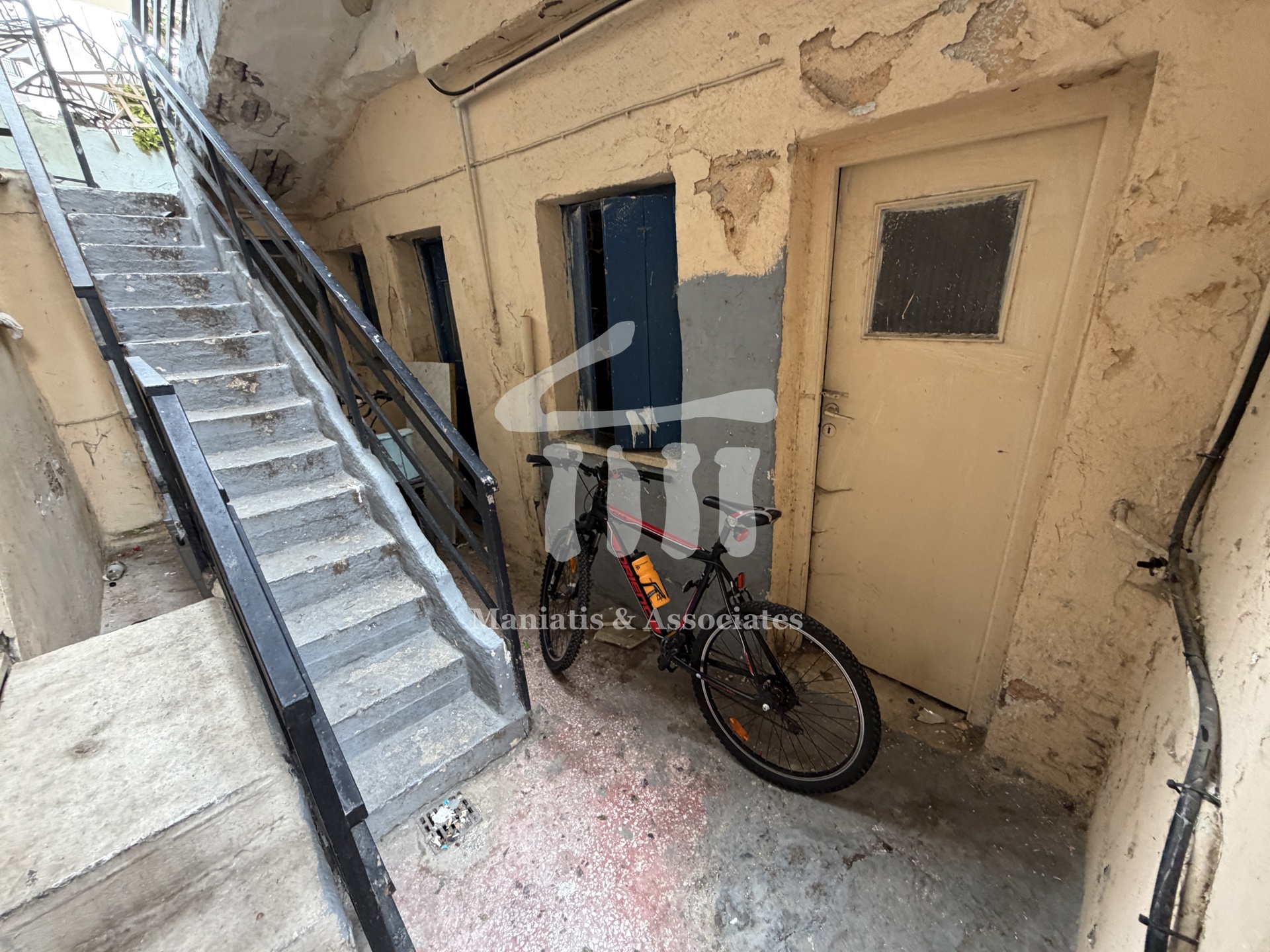 Gallery image 11