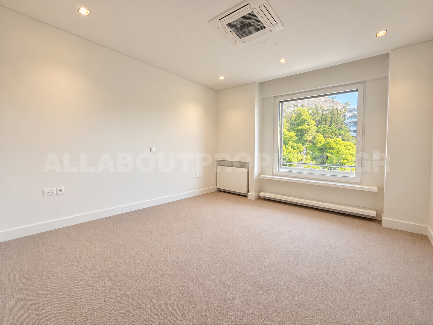Gallery image 11